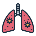 pulmones