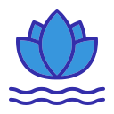 fleur de lotus