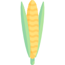 Corn