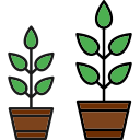 rosną rośliny