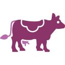 krowa