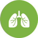 pulmones