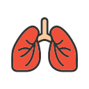 pulmones