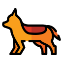 deutscher schäferhund