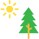 forêt