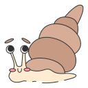 caracol de mar