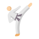 Taekwondo