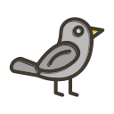 pájaro