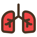 płuca