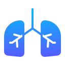 pulmones