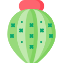 mélocactus