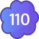 110