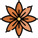 anís estrellado