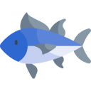 Tuna