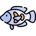 pesce oscar