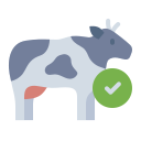 vaca