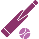 bastão de cricket