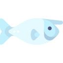 einhornfisch