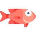 붉은 물고기