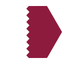 Flag icon