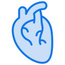 Human heart