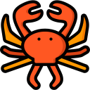 crabe