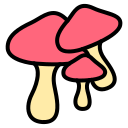 champiñón