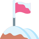 vlag