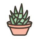 얼룩말 식물