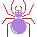 クモ