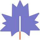 Maple leaf