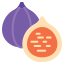 Fig