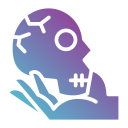 schedel