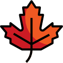 Maple leaf