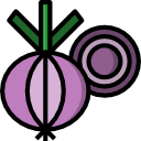 Onion