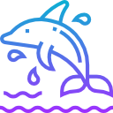 Dolphin