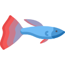 魚