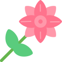 bloem