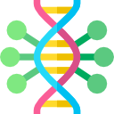 genom