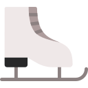 아이스 스케이트 신발