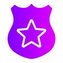 Полицейский щит