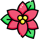 Poinsettia