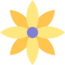 flor de pascua