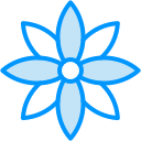 flor de pascua