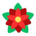 Цветок Пуансеттия