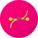 vector