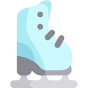 Ice skate