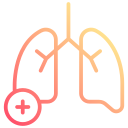 pulmones