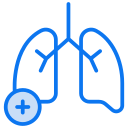 pulmones