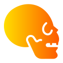 schädel